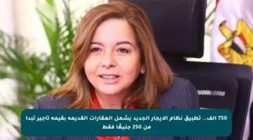 750 ألف.. تطبيق نظام الإيجار الجديد يشمل العقارات القديمة بقيمة تأجير تبدأ من 250 جنيهًا فقط